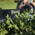 ΨΑΛΙΔΙ ΜΠΟΡΝΤΟΥΡΑΣ ΜΠΑΤΑΡΙΑΣ HUSQVARNA ASPIRE H50-P4A SET (ΜΕ ΜΠΑΤΑΡΙΑ 2.5ah ΚΑΙ ΦΟΡΤΙΣΤΗ)